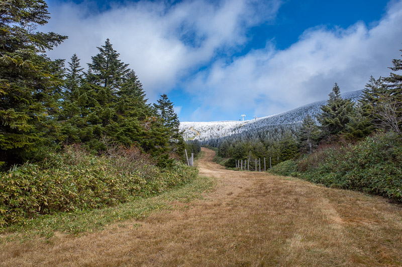 Japan for the 9th time - Oct and Nov 2019 - Here is one of the ski paths I crossed earlier. It was at this point I decided to run down all the ski paths rather than following the same forest tra