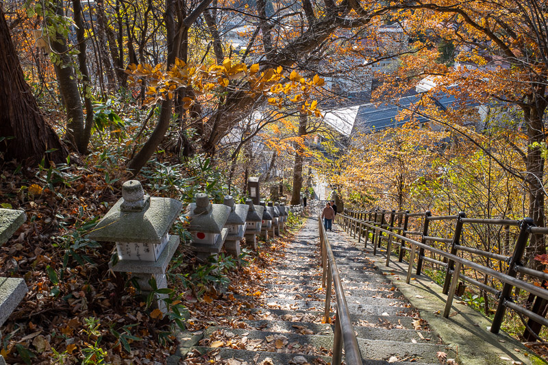 Japan for the 9th time - Oct and Nov 2019 - I had 30 minutes until the bus, time to run up the steps to the shrine.