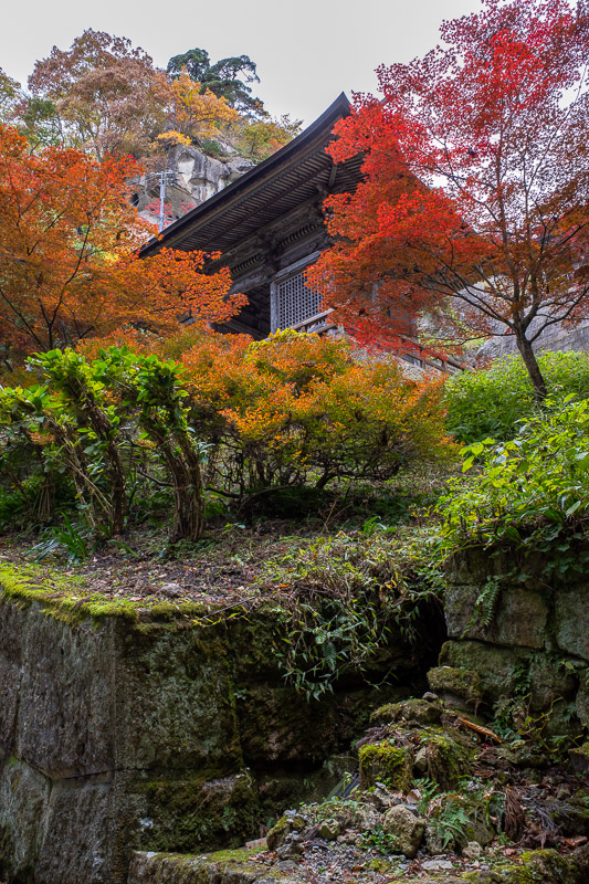 Japan for the 9th time - Oct and Nov 2019 - About half way up the 500 or so steps you start to hit various buildings, and red leaves.