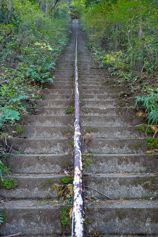 Japan for the 9th time - Oct and Nov 2019 - Soon after the hike starts, a huge steep staircase. Look how it gets steeper the further up it goes. Unexpected!