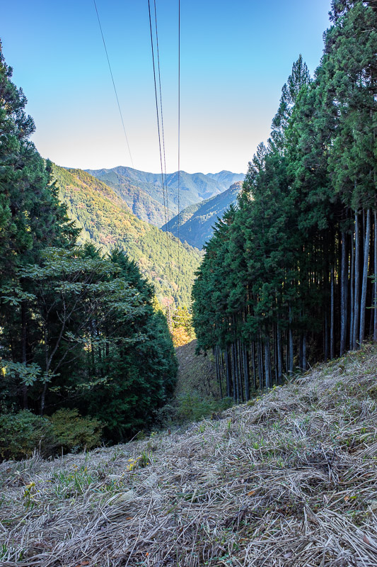 Japan for the 9th time - Oct and Nov 2019 - There were trees nearly all day today, logging provided most views. Here is some logging due to power lines.
