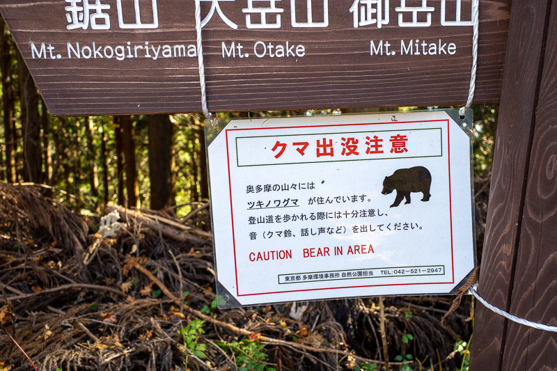 Japan-Hiking-Okutama-Mount Gozenyama - OMG!