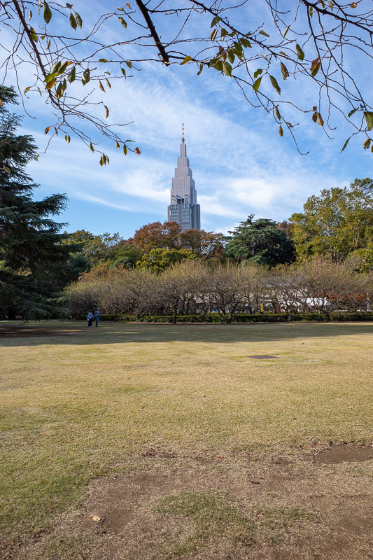 Japan for the 9th time - Oct and Nov 2019 - The light and weather was amazing today, perfect for garden photos, so I took a lot of them. Most of them will feature the massive GOTHAMIC DoCoMo tow