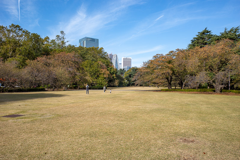 Japan-Tokyo-Shinjuku Gyoen-Garden - Lots of wide open spaces, it looks mostly like there were hardly any people, but thats because wherever I go, people flee in terror.