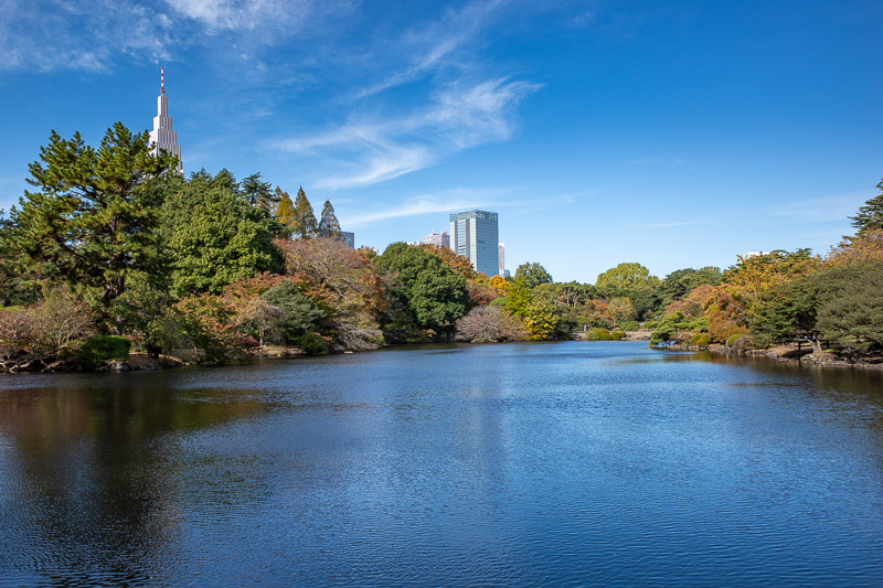 Japan-Tokyo-Shinjuku Gyoen-Garden - The other way. So much more colorful than when I came here on a grey day in March.