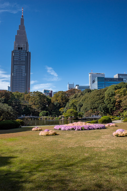 Japan-Tokyo-Shinjuku Gyoen-Garden - Last one. The flowers in the lawn on this photo are very bright, and confuse the white balance on my camera.