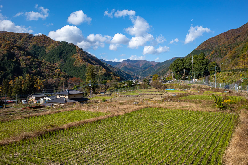 Japan for the 9th time - Oct and Nov 2019 - The view up the valley. My train out to here traveled through rain, the forecast said rain would stop in Tokyo by around 10AM, and I assumed it had co