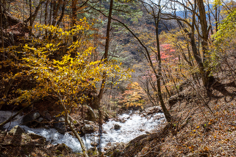 Japan for the 9th time - Oct and Nov 2019 - And heres a bit more waterfall. It was just after here that the trail vanished. It had slid away into the waterfalls. I had to hike up and over very s