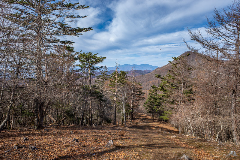 Japan for the 9th time - Oct and Nov 2019 - Around the back of the peak quite near the summit was the easiest part of the trail. Loggers had basically created a highway up to the top.