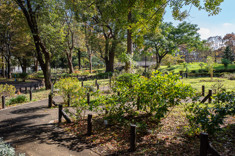 Japan for the 9th time - Oct and Nov 2019 - This is Toyama park. It is just a neighborhood park, but quite large.