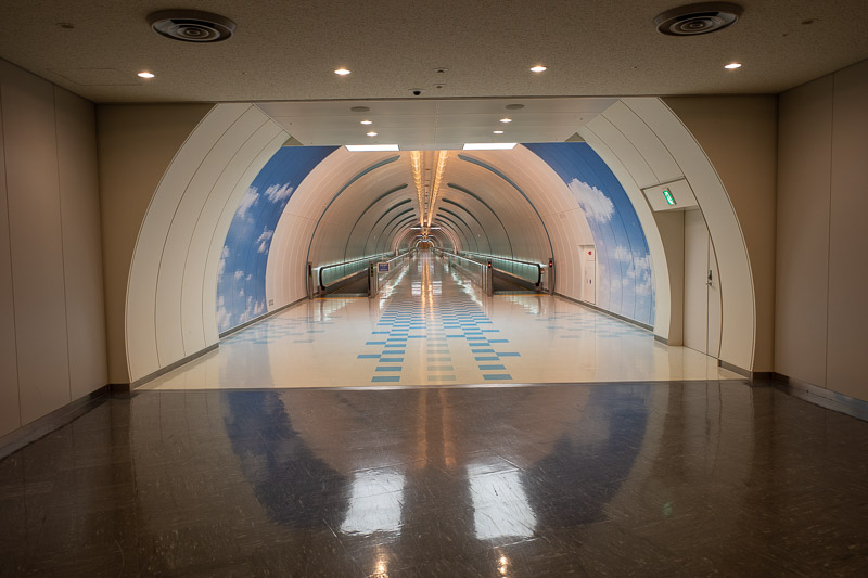 Japan for the 9th time - Oct and Nov 2019 - I did however find the tunnel that connects a couple of the terminal tentacles together. This was the highlight of my airport visit at Narita. I walke