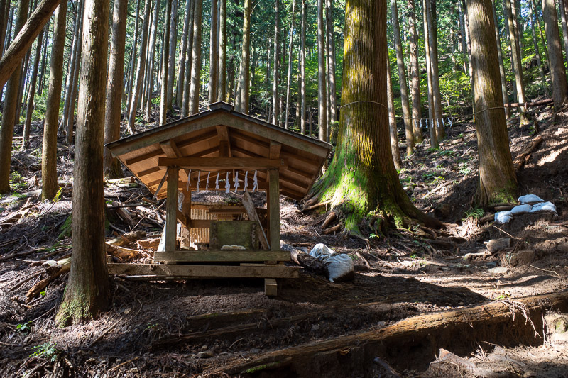Japan-Tokyo-Hiking-Iwatakeishiyama - There are a number of shrines and mini shrines on this hike as you shall see.
