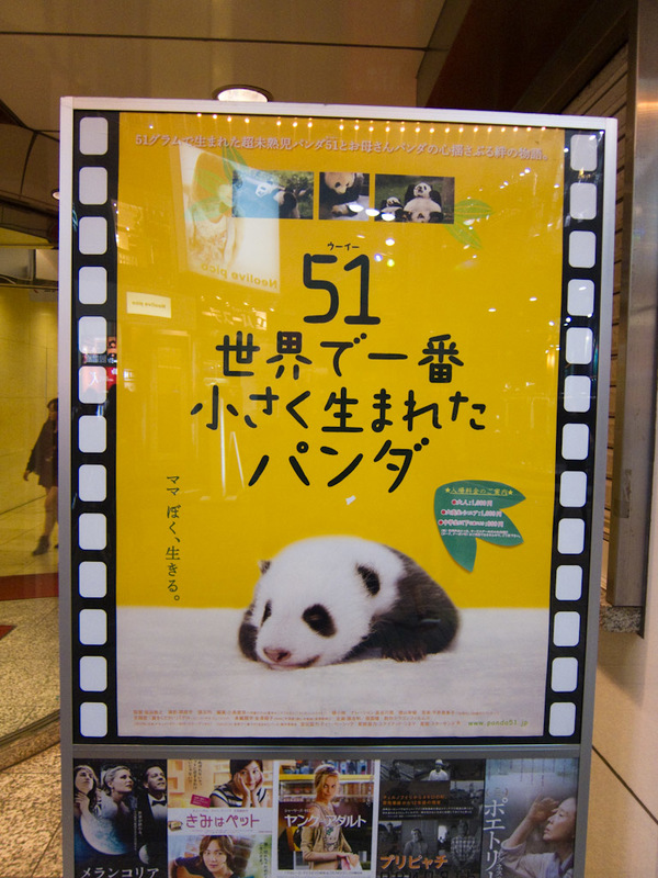 Japan-Tokyo-Shinjuku-Neon - This is a movie poster, there appears to be a movie coming starring baby pandas. Perhaps 51 of them. I couldnt find details on imdb.