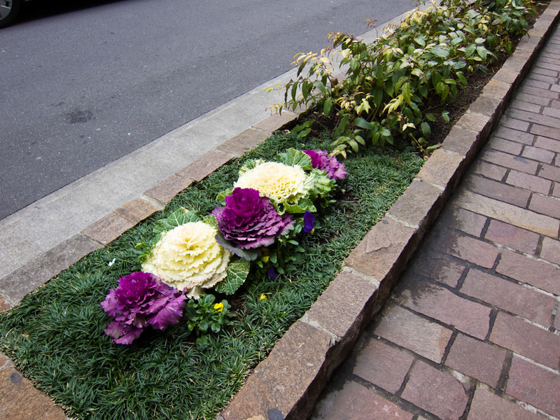 Japan-Tokyo-Garden-Ginza-Ramen - Why plant flowers when a cabbage is fine too?