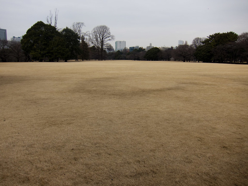 Japan-Tokyo-Garden-Ginza-Ramen - This is a large grassed area, the grass has burnt off due to snow. This is not something I have ever seen before in my life, which is probably amusing