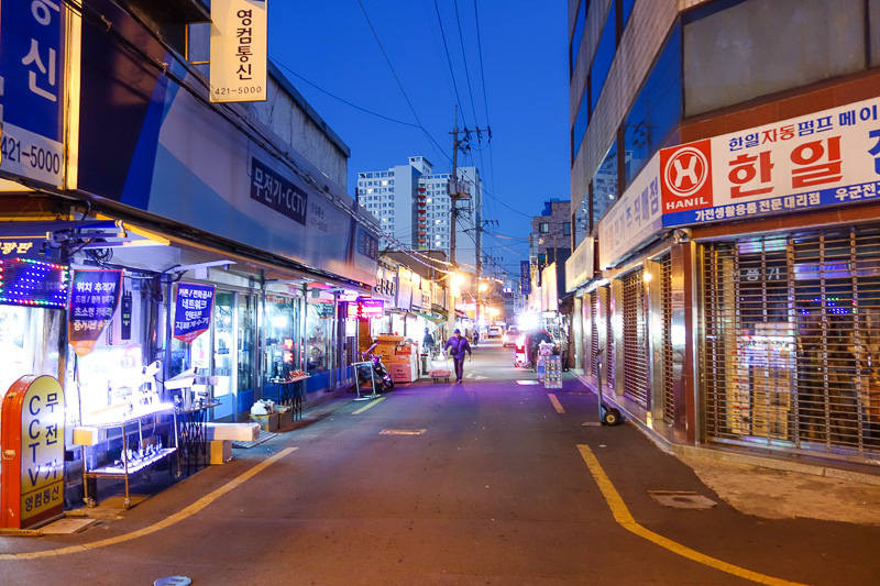 Korea-Daegu-Food-Bibimbap - Karaoke supplies street. More like Karaoke supplies suburb, its many streets by many streets of cheap DJ and Karaoke gear. Every home needs a 4000 wat