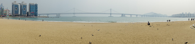 Korea-Busan-Beach-Haeundae - Todays panorama, featuring the huge bridge. It extends far to the left and right of this image.