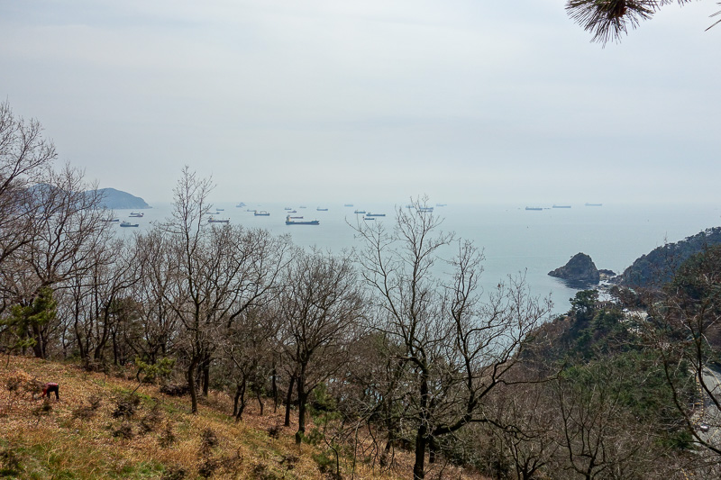 Korea-Busan-Beach-Songdo - I decided to try and go over some small mountains on the way back because I just cant help myself. This gave another view of the rumbling ships.