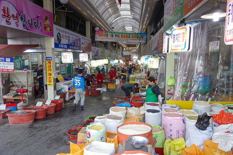Korea-Busan-Gwangju-Bus - Before I set off to the bus station, I had a walk around the local market at 7am. Its enormous.