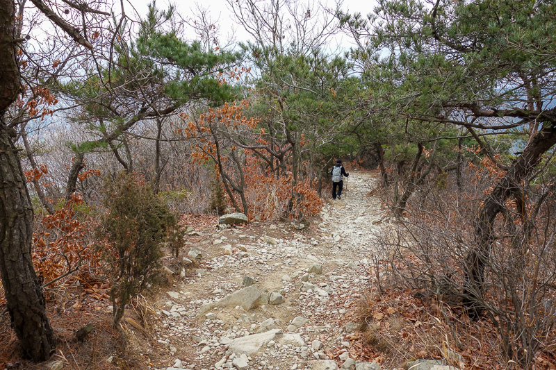 Korea-Incheon-Songdo-Hiking-Gaesan - The path down. Actually one of the nicer sections. After this it was a real scramble and I needed both hands, so had to put my camera away. I only sli