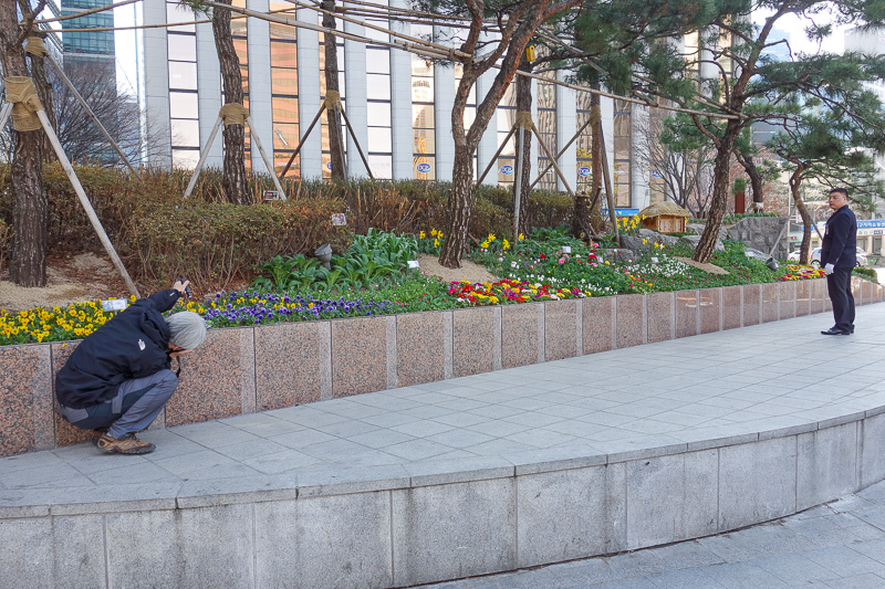Korea again - Incheon - Daegu - Busan - Gwangju - Seoul - 2015 - This guy is taking photos of flowers up close, with a torch for light. The security guard is telling him off for doing so. So I took a photo of the gu