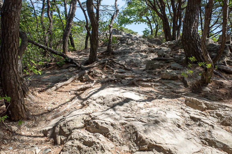 Korea-Daegu-Hiking-Apsan - It wasn't all staircases and hessian rugs, heres a nice rocky bit to give your metatarsals a workout.