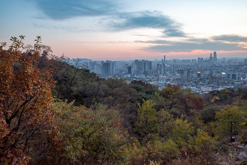 Korea-Seoul-Namsan-Pasta - Good view at dusk from part way up.