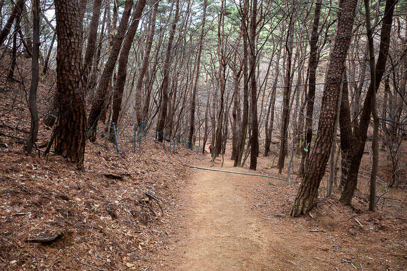Korea-Daegu-Hiking-Palgongsan-Gatbawi - The lower bits of the trail are very well developed.