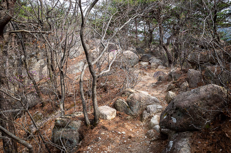 Korea-Daegu-Hiking-Palgongsan-Gatbawi - Before too long, rocks. Lots of rocks.