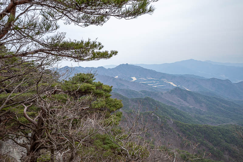 Korea-Daegu-Hiking-Palgongsan-Gatbawi - But then... a very brown golf course appears.