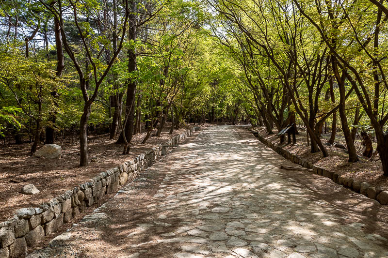 Korea-Gyeongju-Hiking-Bulguksa-Tohamsan - Now for the path to the Seokguram grotto. This was only recently opened after a typhoon caused a landslide. I had read that even while closed, real hi