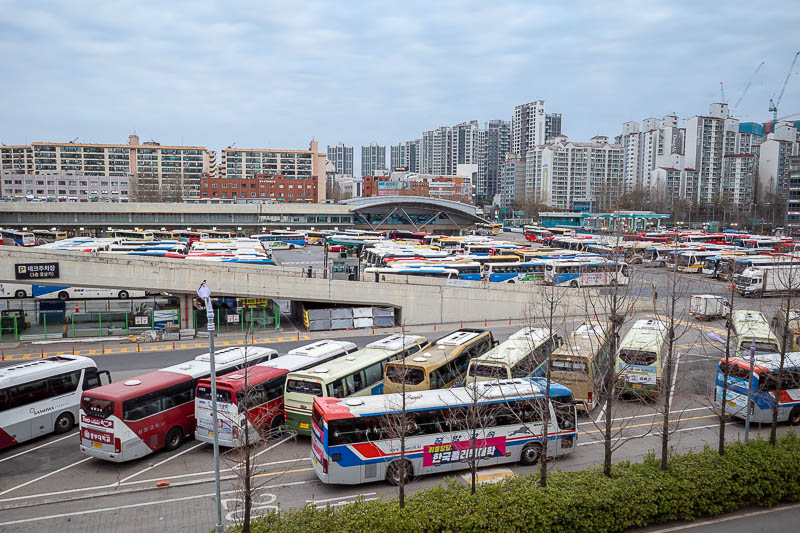 Korea-Seoul-Food-Mall - Here are some buses. Lots of buses. This is not all of them, and the station building which I did not photograph at all just to confuse everyone with 