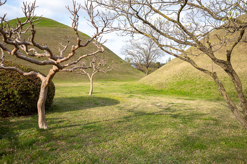Korea-Gyeongju-Hwangnidan - Double mounds and cool trees. I like these mounds.