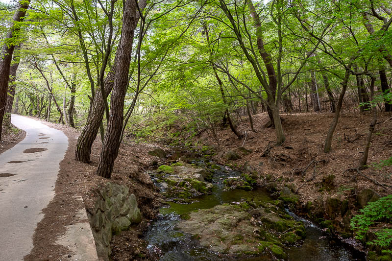 Korea-Gyeongju-Namsan-Hiking - The path up to the start of the hike goes past a hermitage, but they had signs up asking me to not go in, so I did not. The stream was nice though.