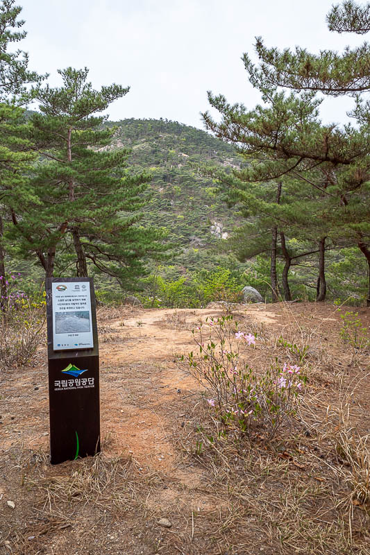 Korea-Gyeongju-Namsan-Hiking - There are these signs everywhere explaining that you are standing on something ancient. Most of the time I could not figure out what, it just looked l