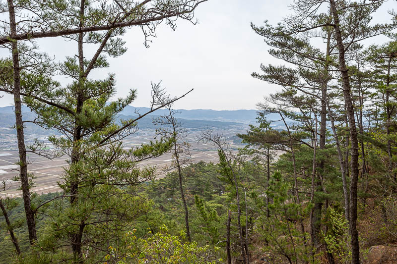 Korea-Gyeongju-Namsan-Hiking - A low down view of the farmland below, more on the farmland later...