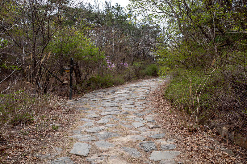 Korea-Gyeongju-Namsan-Hiking - And then, a driveway of sorts! This was unexpected.