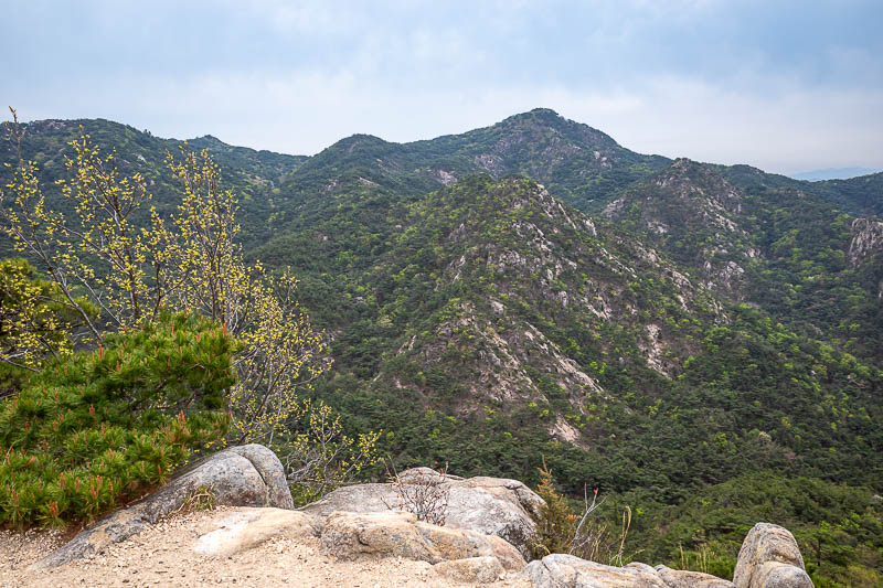 Korea-Gyeongju-Namsan-Hiking - Same view, no pagoda.