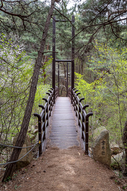 Korea-Gyeongju-Namsan-Hiking - I descended on some stair free paths but then arrived at this bridge in the bottom of the valley.