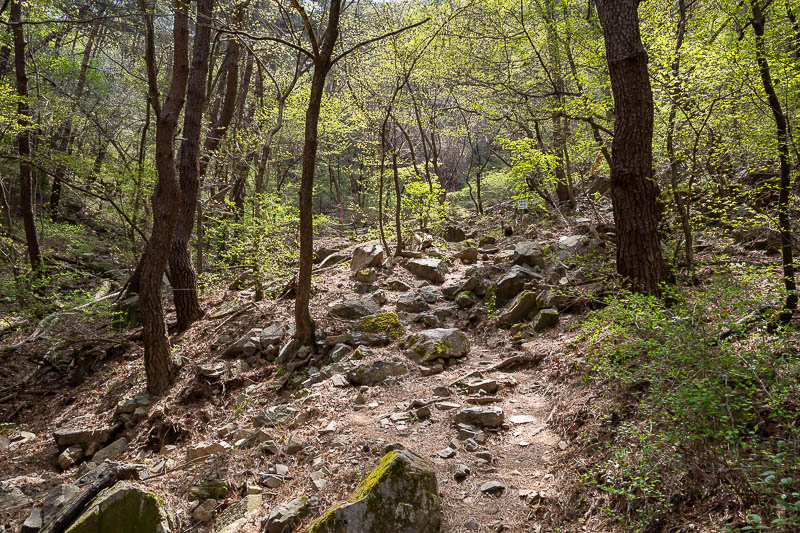 Korea-Gyeongju-Namsan-Hiking - Nice paths again, and a bit of sunshine.