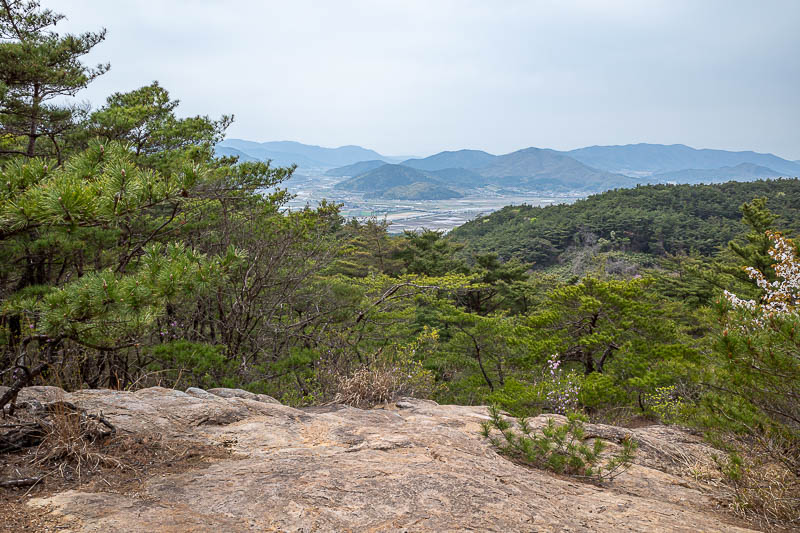 Korea-Gyeongju-Namsan-Hiking - And then, finally time to head down again. Here is a different low down view.