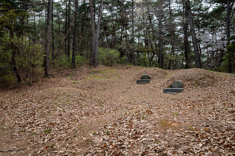 Korea-Gyeongju-Namsan-Hiking - I thought that since I passed 100 or so grave sites, I should post a photo of a grave. So here is one. Most of them do not have the concrete markers.