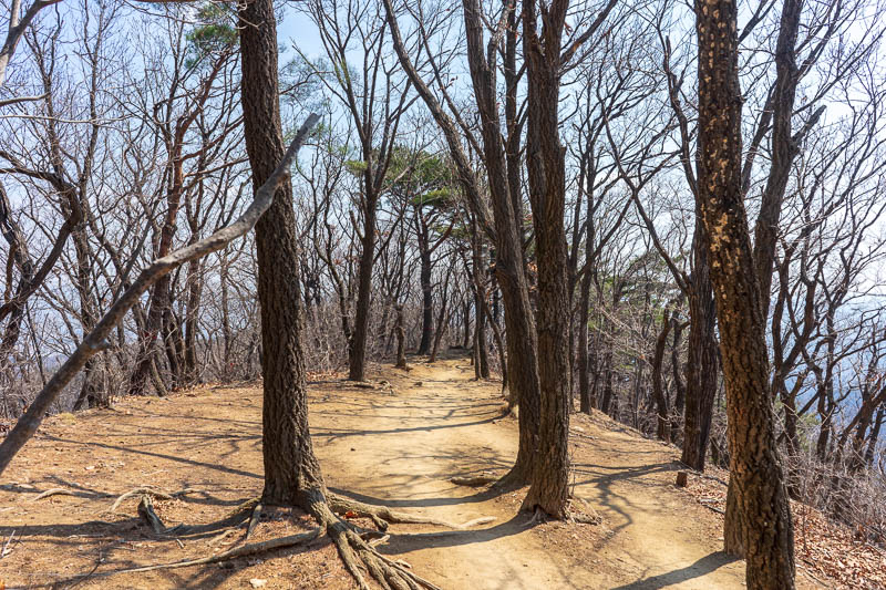 Korea-Seoul-Hiking-Cheonggyesan - This part of the trail was particular nucular wintery (nuclear spelled incorrectly deliberately, and god dammit (damnit) I want to say spelt not spell