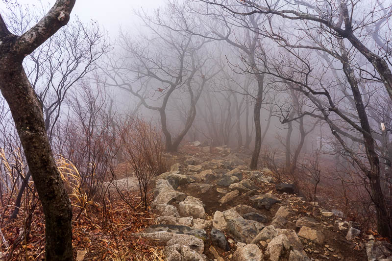 Korea-Hiking-Gyeryongsan - After appreciating the wonderful view, it was time to descend in the fog, carefully.
