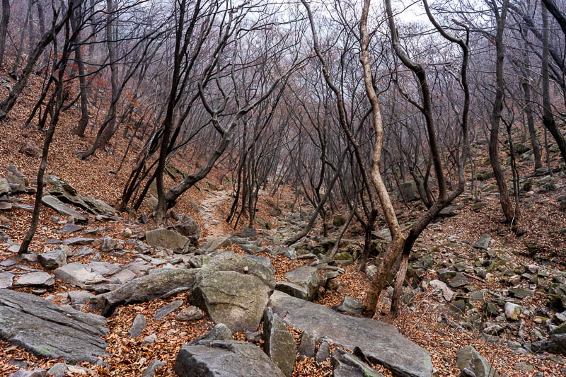 Korea-Hiking-Gyeryongsan - The path down was very nice looking without the fog.
