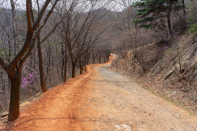 Korea-Daejeon-Hiking-Gyejoksan - It is genuinely impressive that they managed to do this for 13km, and I can confirm there were no gaps and it does go all the way around even on the r