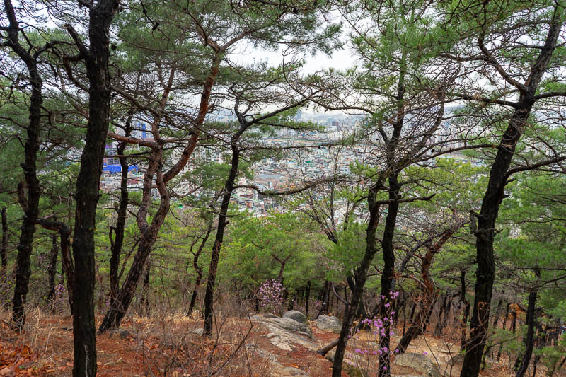 Korea-Seoul-Hiking-Yongmasan - Despite being a small mountain, the path was really great, excellent views, nice foliage, well marked trail, nothing slippery enough to be worried abo