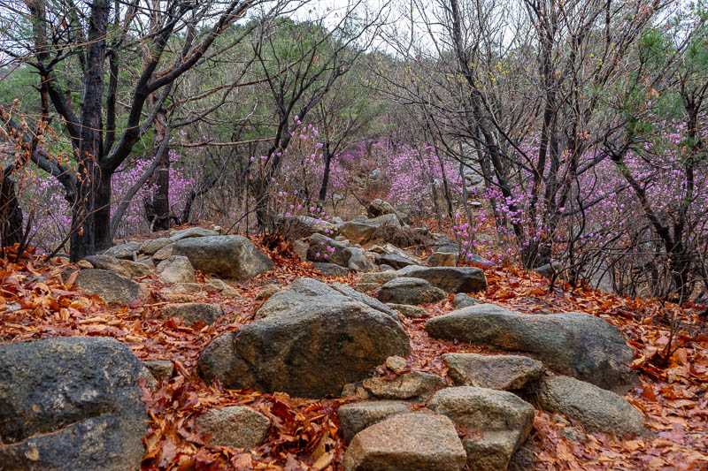 Korea-Seoul-Hiking-Yongmasan - So picturesque that I declare this to be PICTURE OF THE DAY!