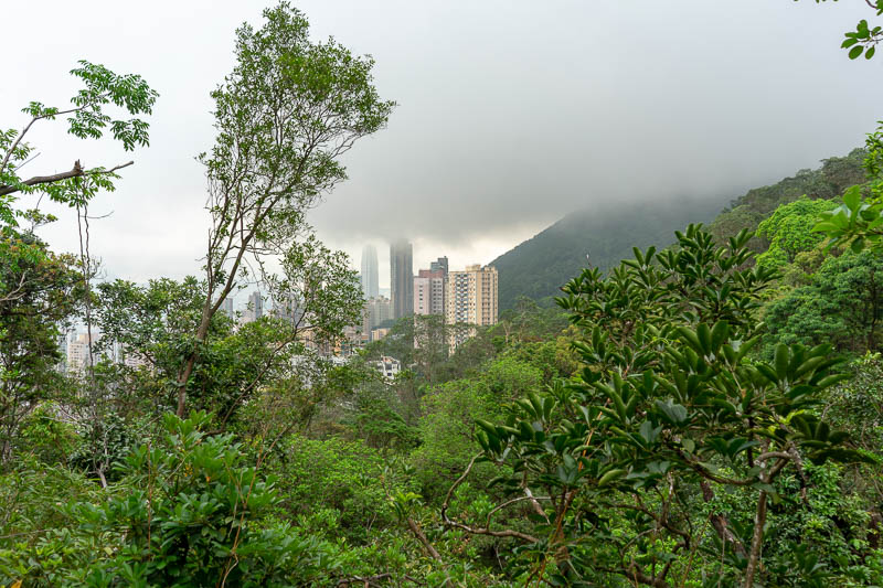 Hong Kong-Hiking-Aberdeen - You get a view quite soon after starting along the path. Fog was coming so I thought I better take a photo in case this was the only view I would get 
