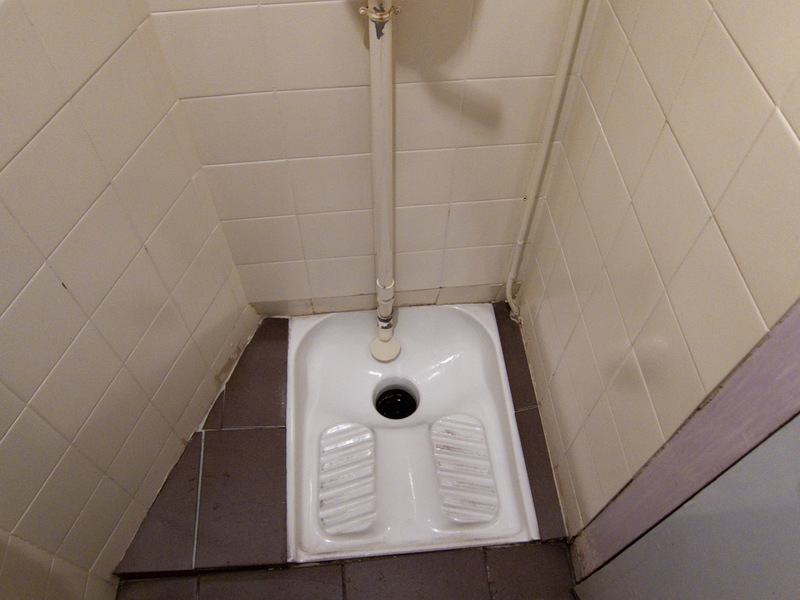 France-Gare Du Nord-Eurostar-Bastille Day-Parade - Never in my trips to Japan, mainland China, Hong Kong etc. Have I been faced with a crouch down toilet thing. France has delivered. No issue for me of